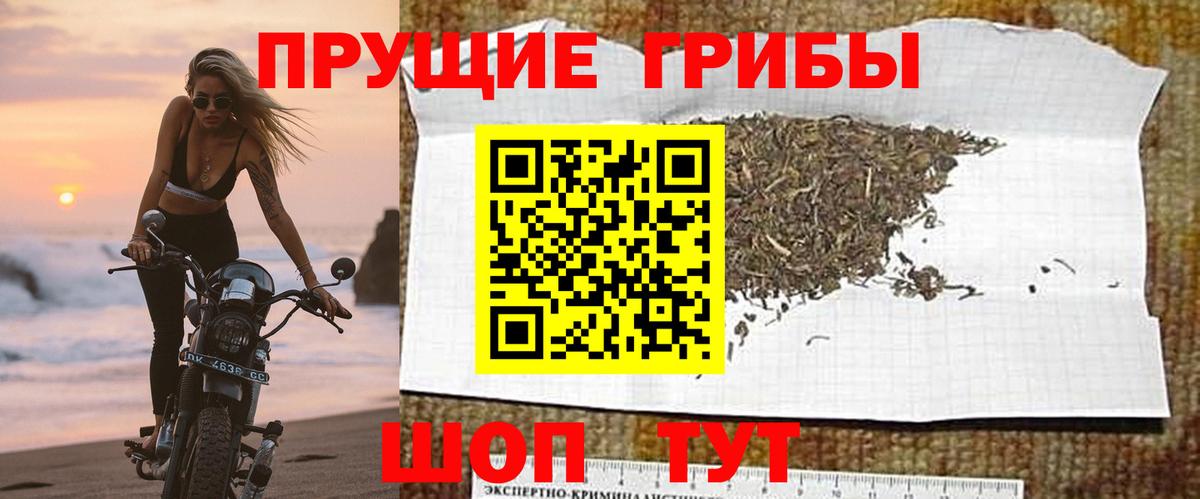 Среднеуральск  Псилоцибиновые грибы GOLDEN TEACHER  Псилоцибиновые грибы GOLDEN TEACHER  Вход с VPN 